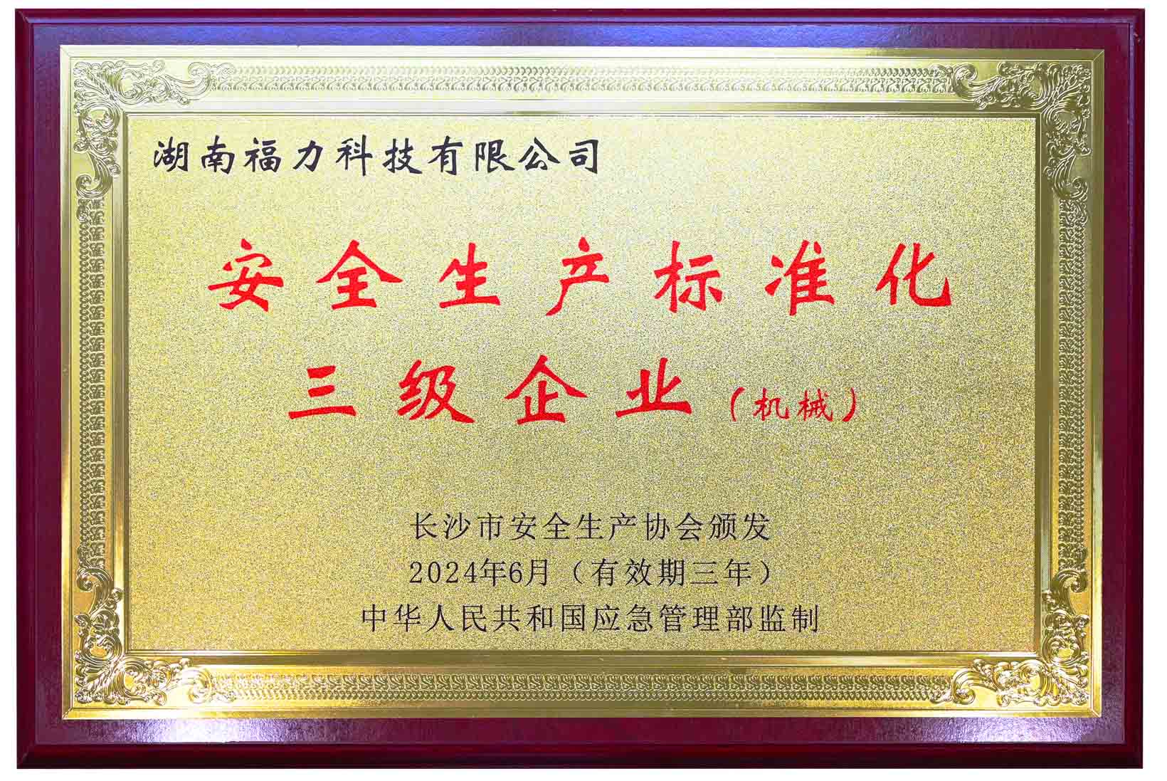 安全生产标准化三级企业（机械）